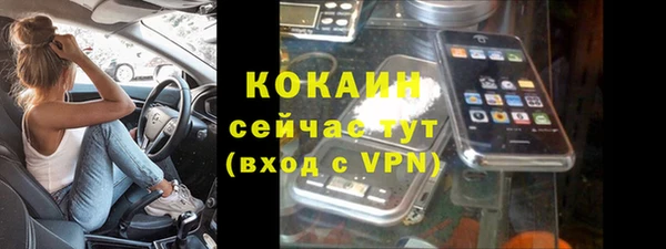молекула духа Алексин