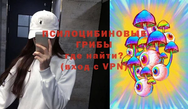 a pvp Алзамай