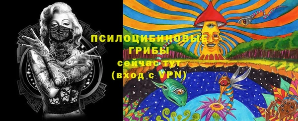 a pvp Алзамай