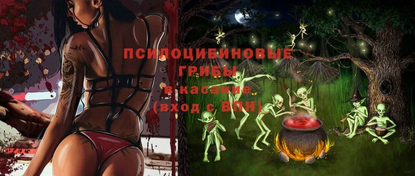 a pvp Алзамай