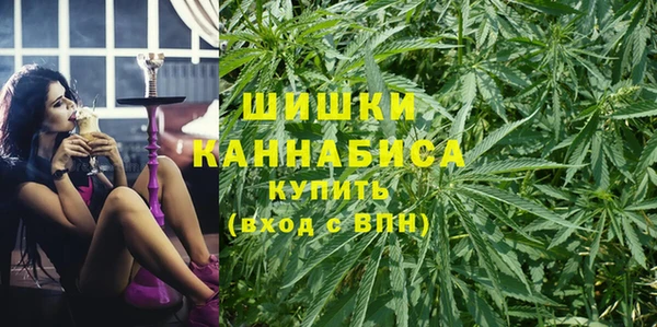 молекула духа Алексин