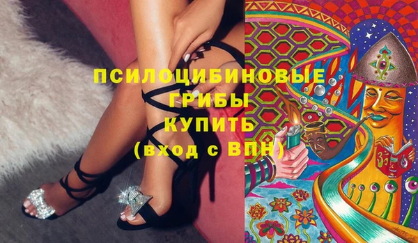 молекула духа Алексин