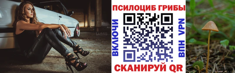 купить наркоту  Ижевск  дарк нет телеграм  Галлюциногенные грибы Magic Shrooms 