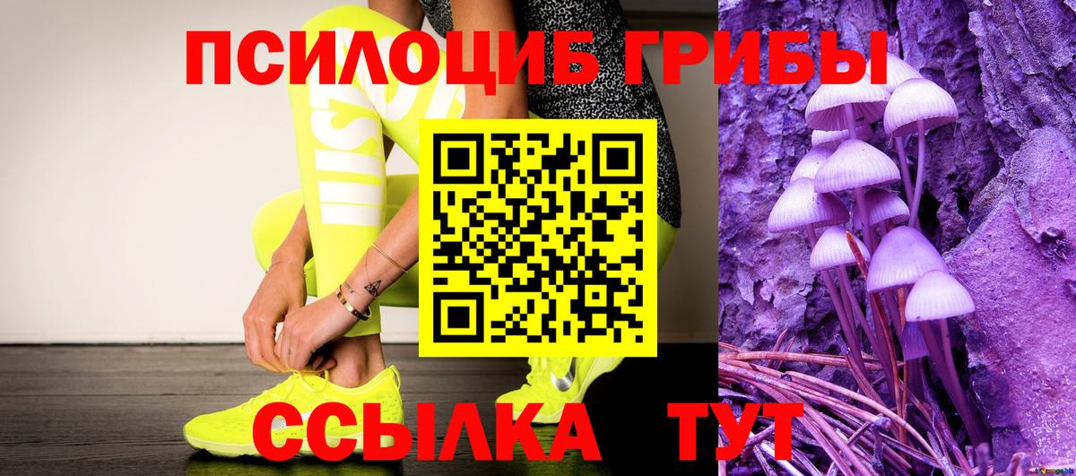 Галлюциногенные грибы Psilocybe Ижевск
