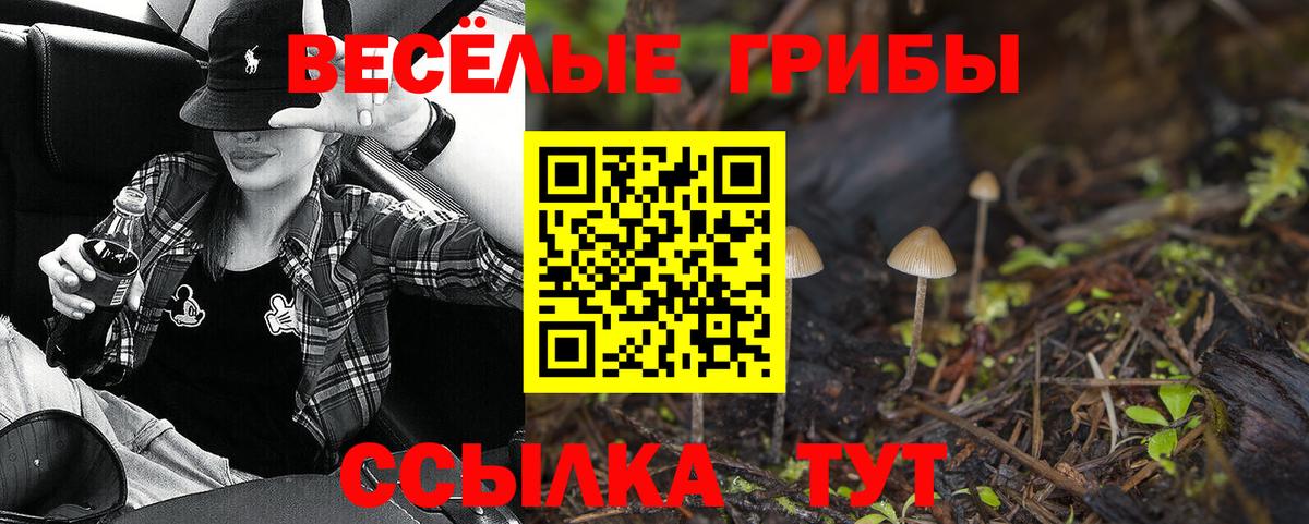 Псилоцибиновые грибы Cubensis  Вход с VPN  Ижевск 
